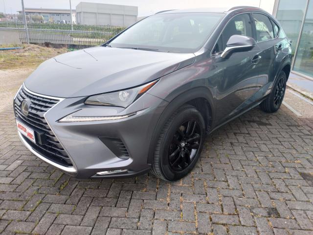 Lexus NX 300 NX 300h 2.5 Business 4wd cvt 24 mesi Garanzia