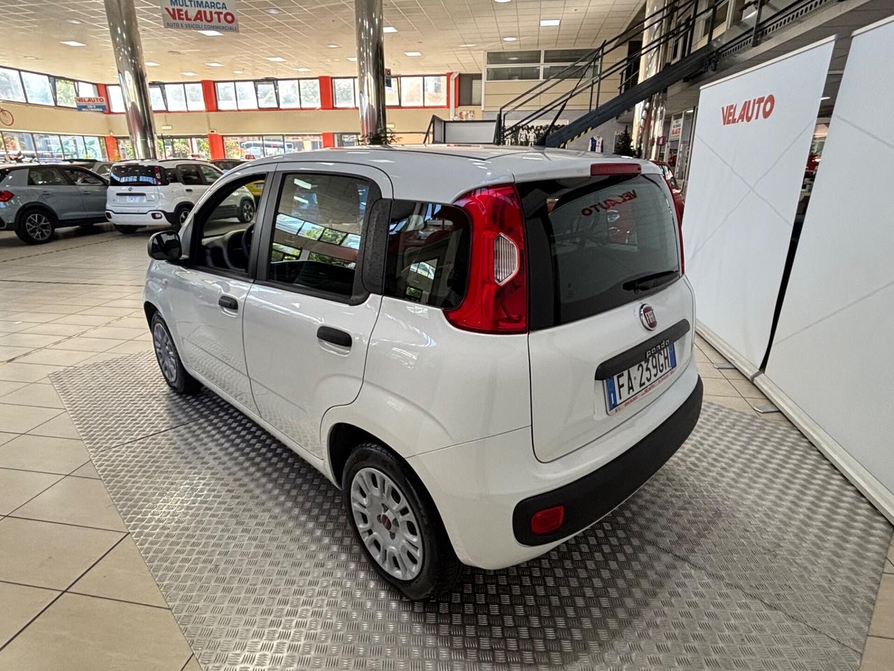 Fiat Panda 1.2 Easy Van 4 posti