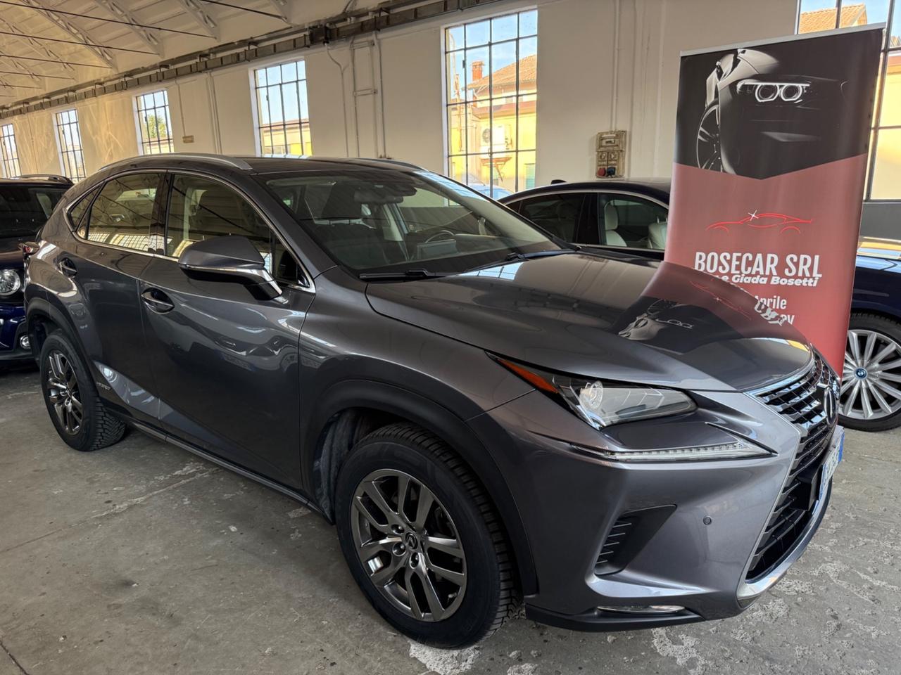 Lexus NX 300h Hybrid Business