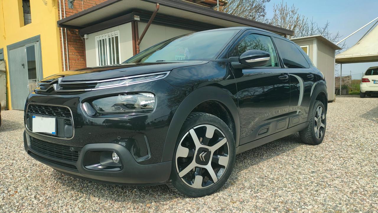 Citroen C4 Cactus 1.6 bluehdi Shine s&s 100cv