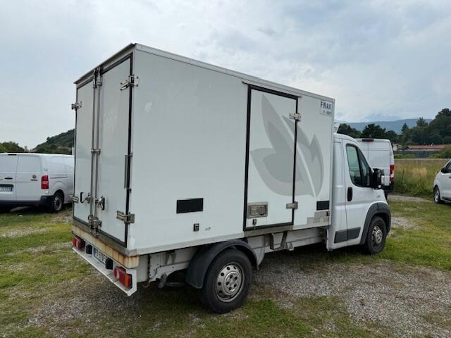 Fiat Ducato 33 3.0 MJT 180CV CELLA FRIGO ATP 2029