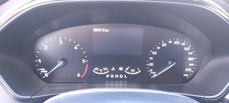 Ford Focus 1.5 EcoBlue 115 CV automatico SW ST-Line
