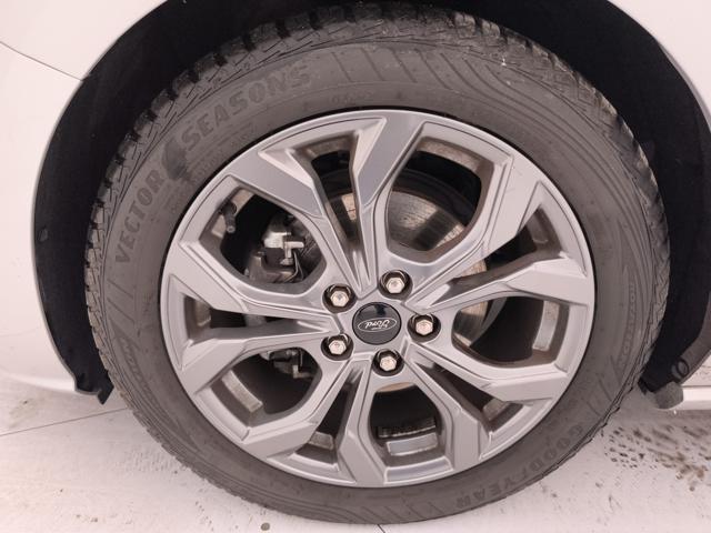 FORD Focus 1.5 ecoblue ST-Line 115cv auto