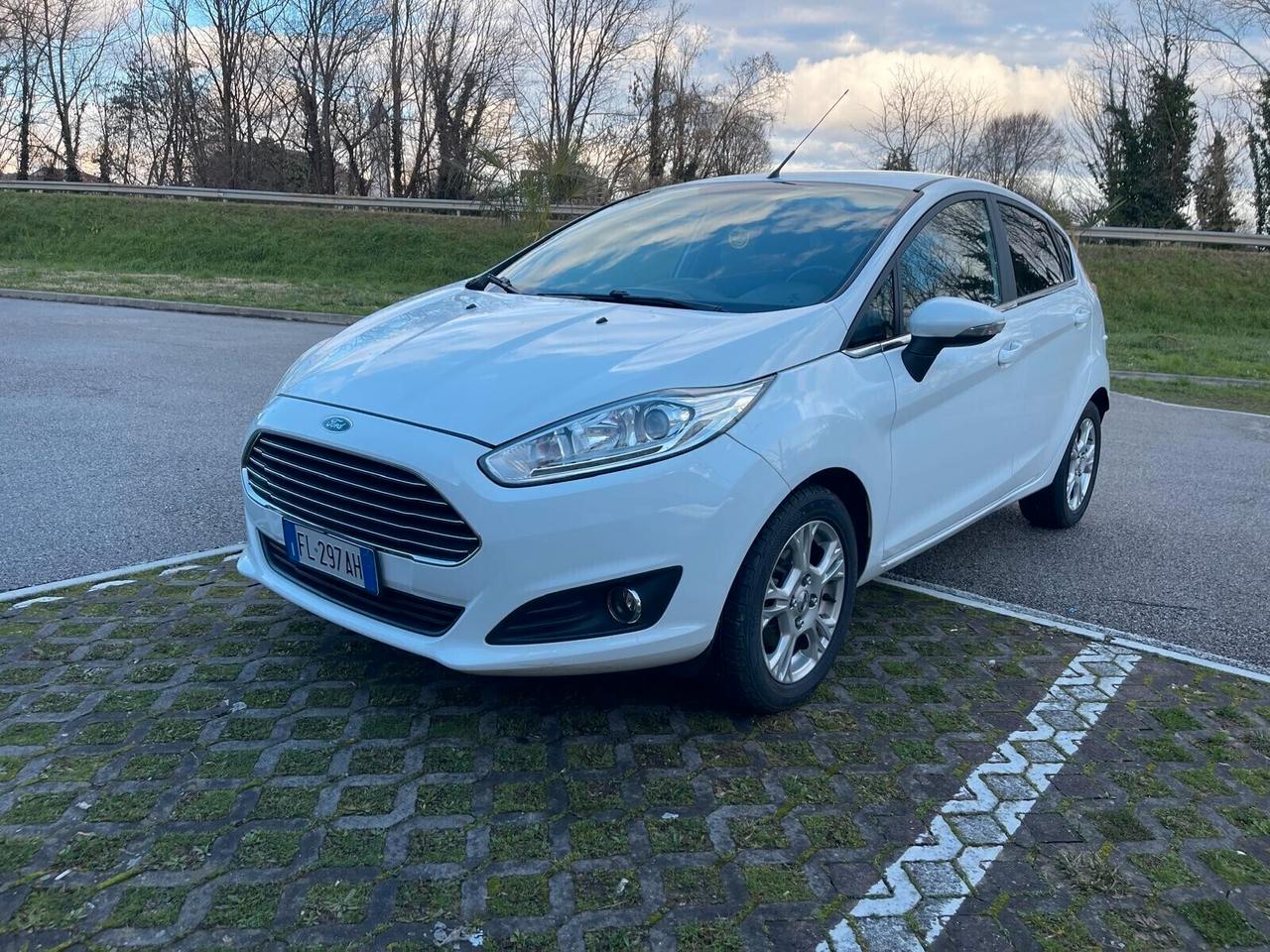 Ford Fiesta 1.5 TDCi 75CV 5 porte Black & White Edition