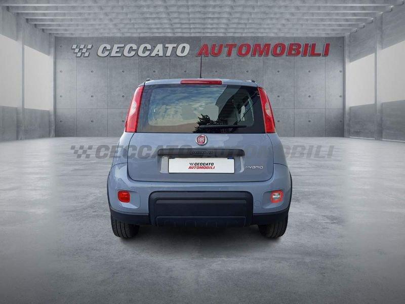 FIAT Panda Panda 1.0 firefly hybrid City Life s&s 70cv 5p.ti