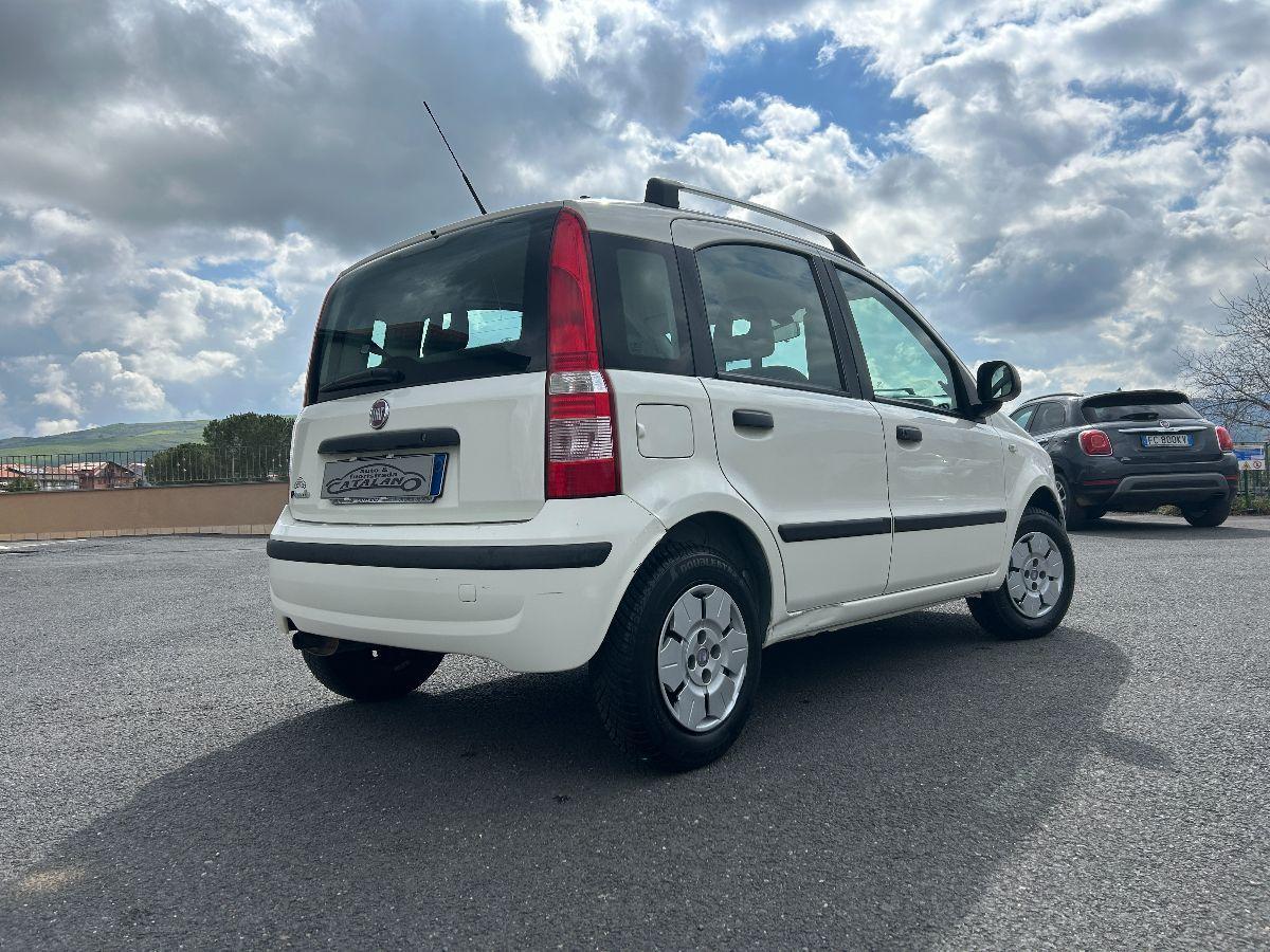 FIAT - Panda - 1.3 MJT 75 CV 16V DPF Dynamic