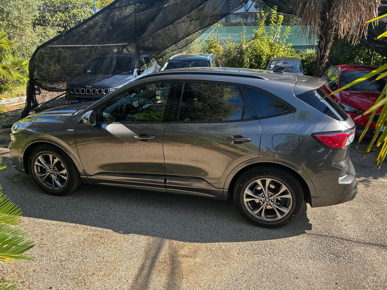 Ford Kuga 1.5 EcoBlue 120 CV aut. 2WD ST-Line
