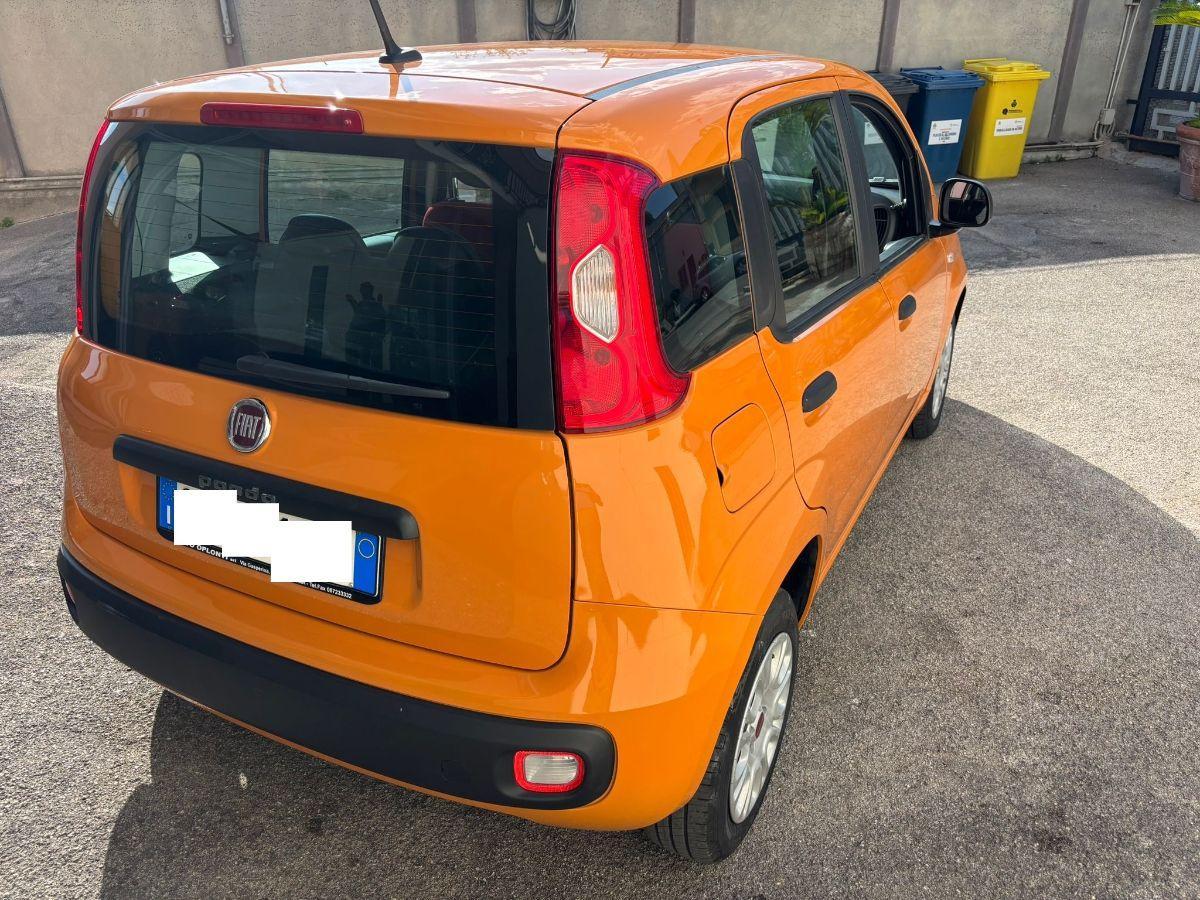 FIAT Panda 1.2 Easy 5 POSTI
