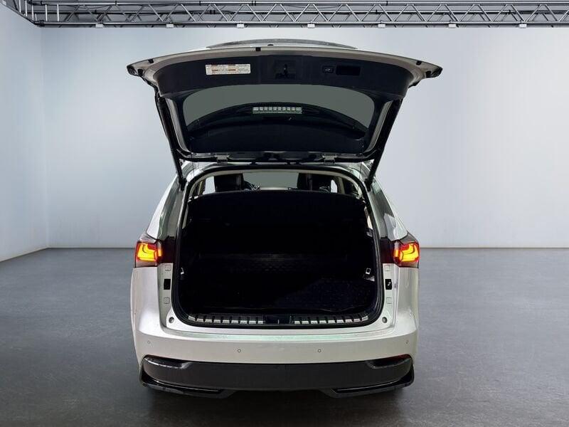 Lexus NX NX Hybrid 4WD Executive