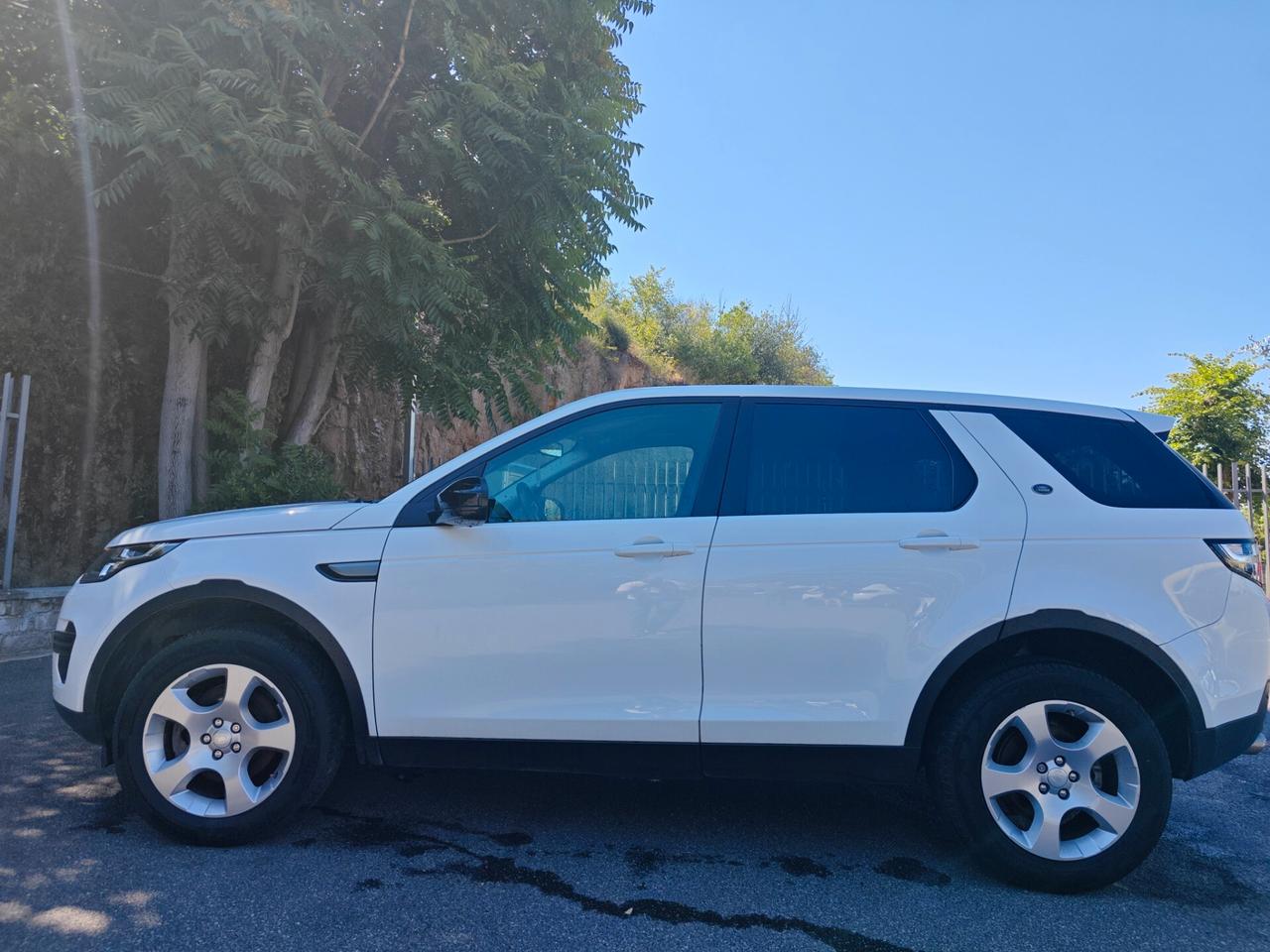 Land Rover Discovery Sport 2.0 TD4 150 CV Auto Business Ed.Premium Pure