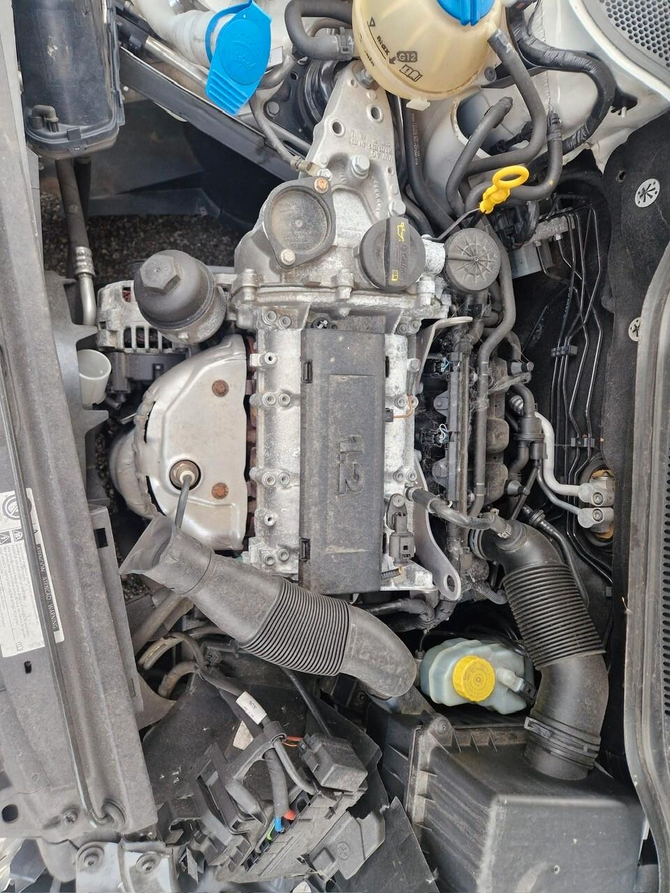 Volkswagen Polo 1.2 70 CV 5p. Comfortline incidentata