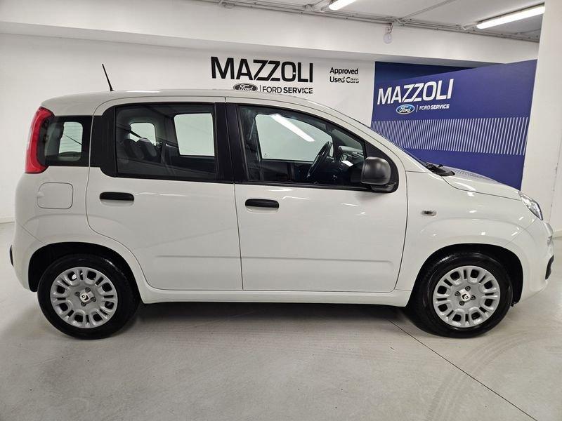 FIAT Panda 1.0 FireFly 70cv S&S Hybrid Pandina