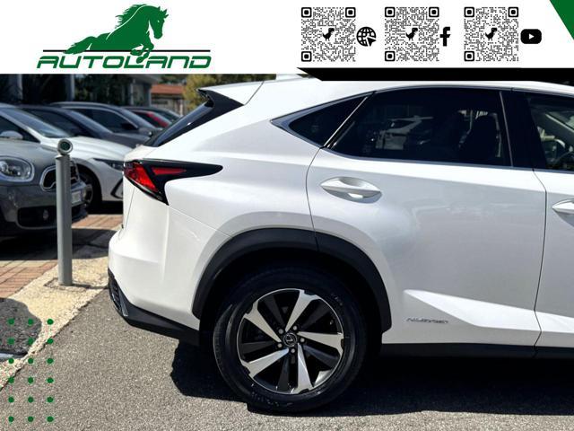 LEXUS NX 300 Hybrid 4WD Executive 155 CV
