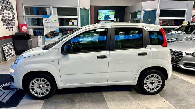 Fiat Panda 1.2 Benzina 69CV 5Posti S&S Easy + NEOPATENTATO