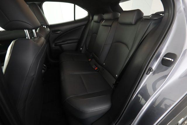 LEXUS Other UX UX Hybrid 4WD Premium