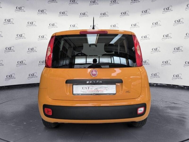 FIAT Panda Panda 1.2 Easy (PREZZO REALE)