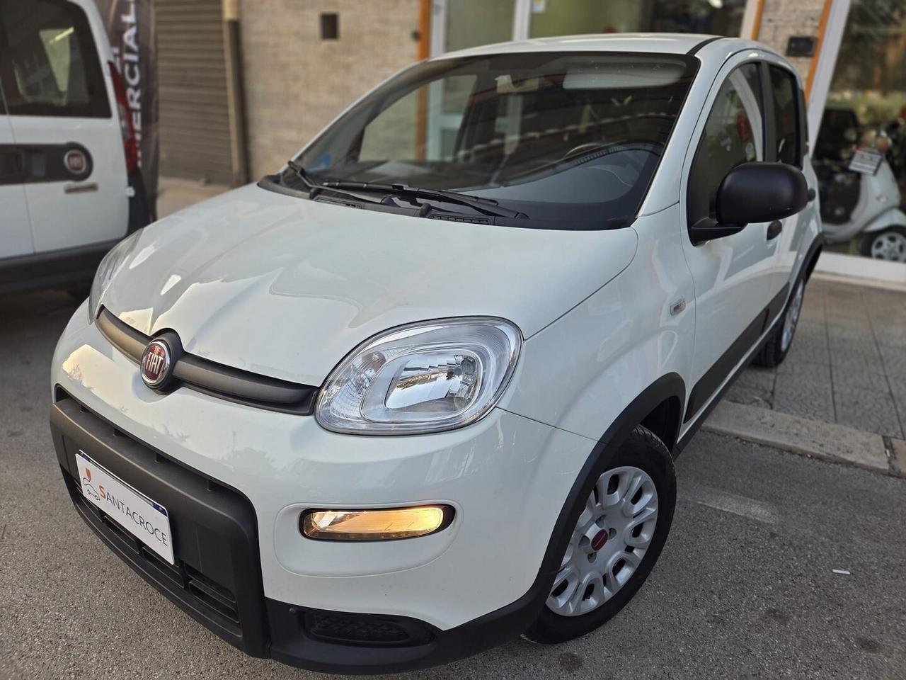 FIAT PANDA 1.0 70cv Hybrid Euro 6d Van 4 p. Street