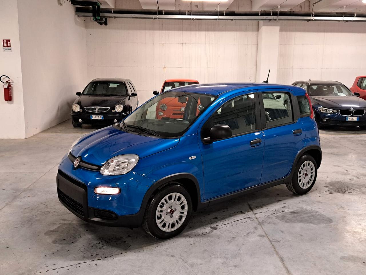 Fiat Panda 1000 FireFly Hybrid 70CV Panda 5 Porte Km. Zero