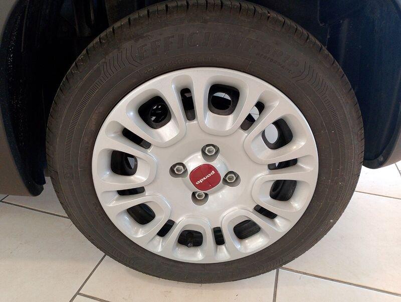 FIAT Panda 3ª serie 1.0 FireFly S&S Hybrid