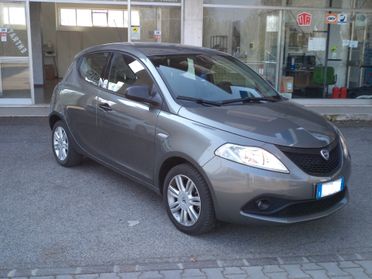 Lancia Ypsilon 1.2 69 CV 5 porte Elefantino Blu OK NEOPATENTATI