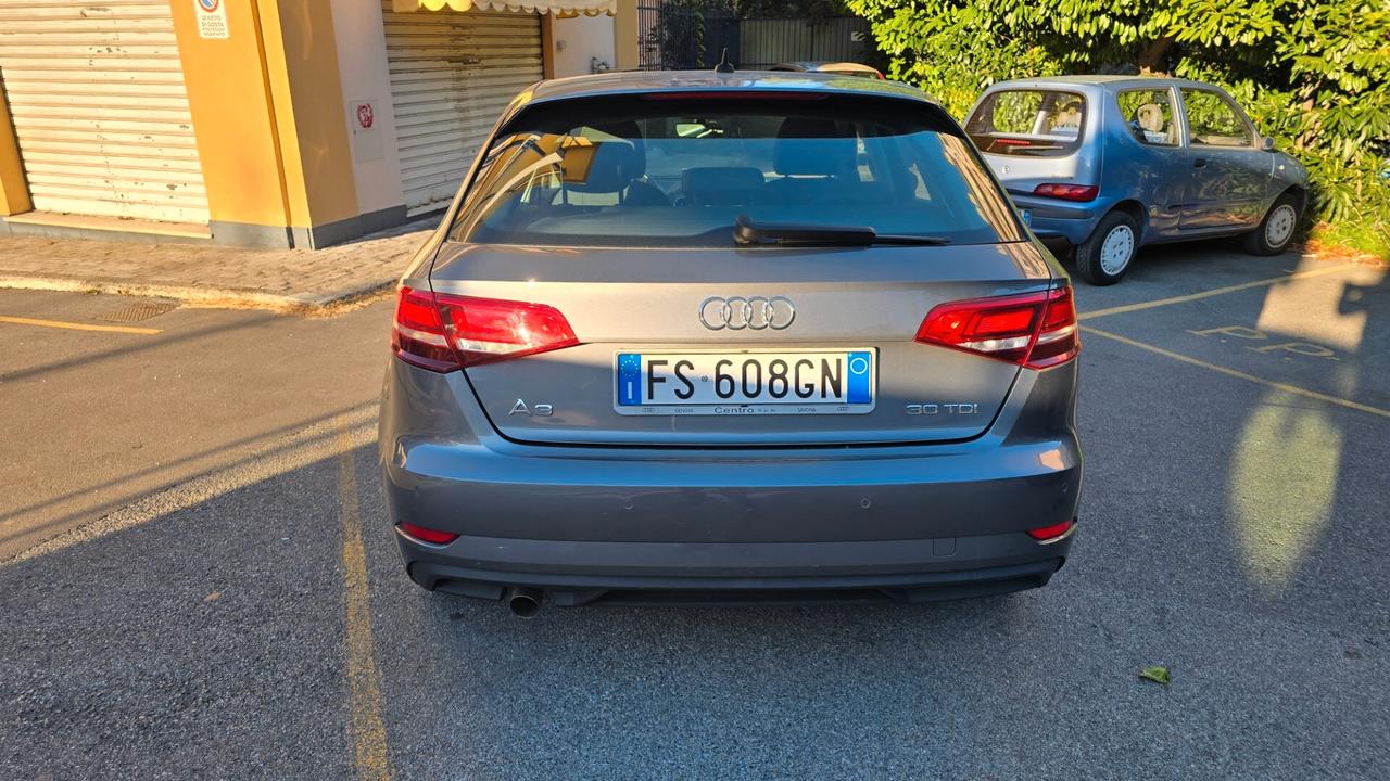 Audi A3 SPB 1.6 TDI 116 CV Business