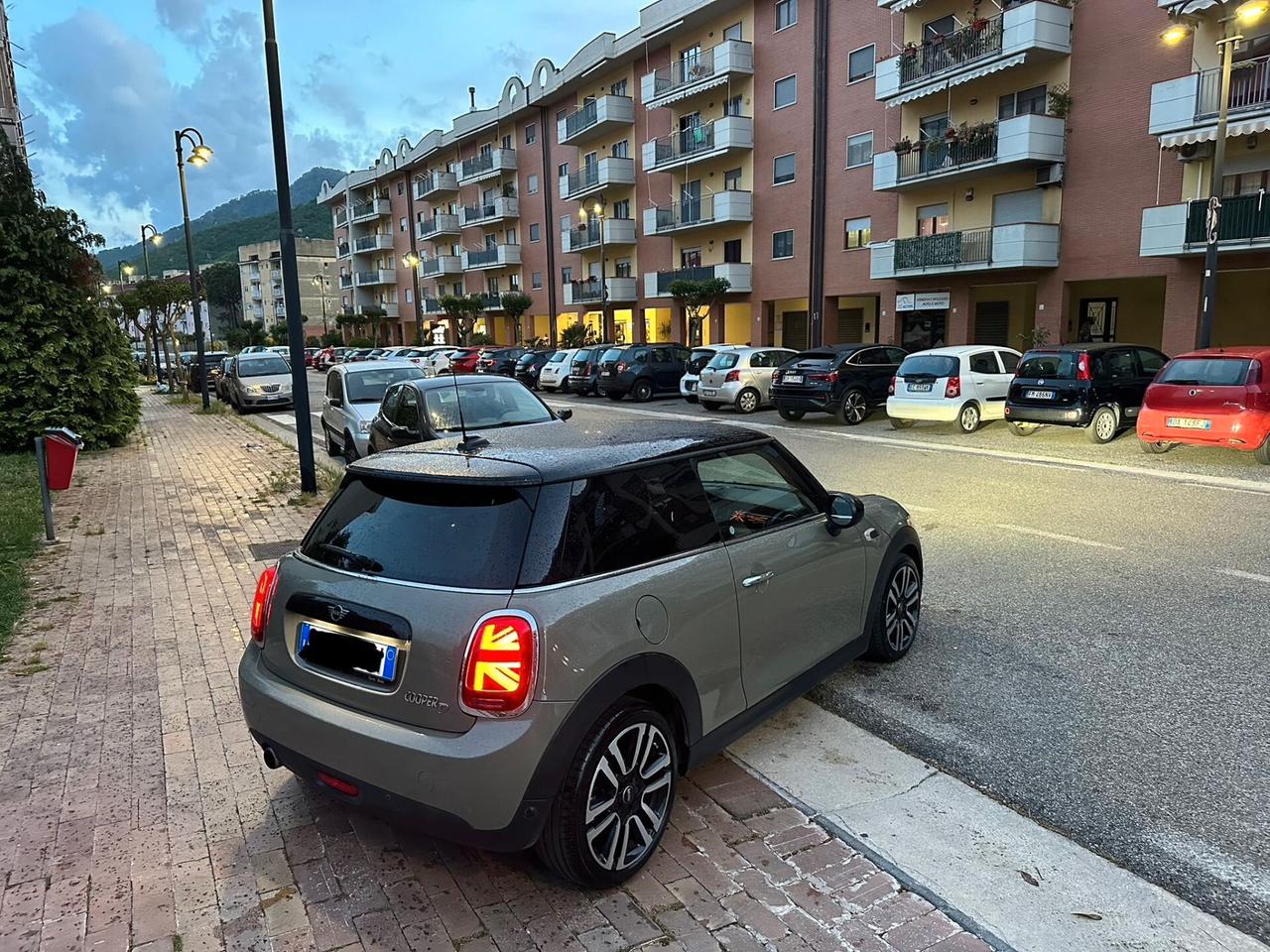Mini Mini 1.5 One D Hype