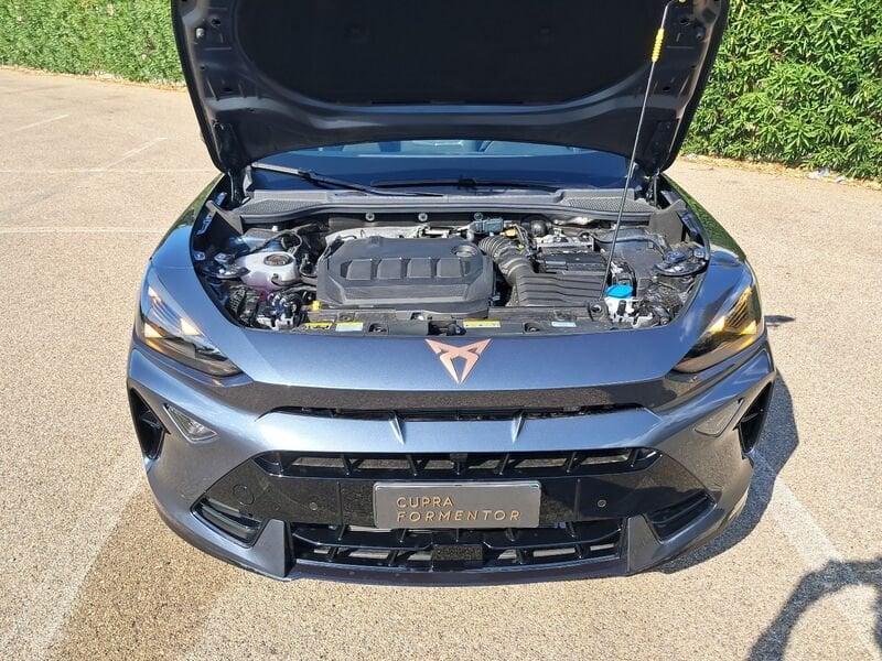 Cupra Formentor Formentor 2.0 TDI DSG