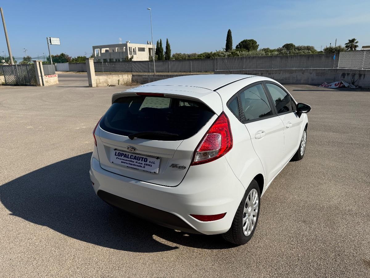 FORD - Fiesta - 1.5 TDCi 75 CV 5p. Business