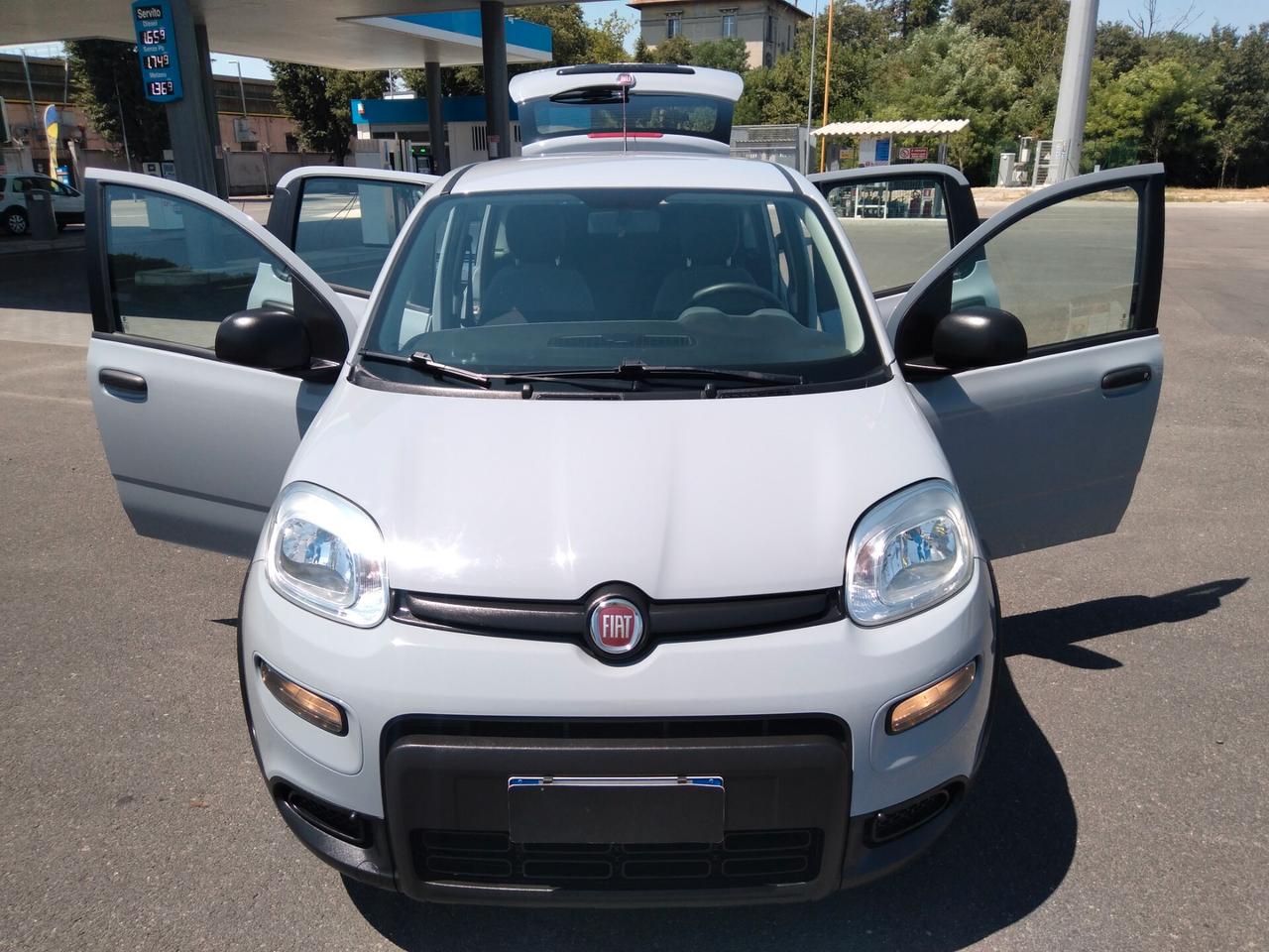 Fiat Panda 1.0 70cv FireFly S&S Hybrid x neopatentati