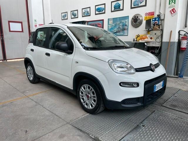 Fiat Panda 1.0 FireFly S&S Hybrid City Life Schermo Digitale Aziendale