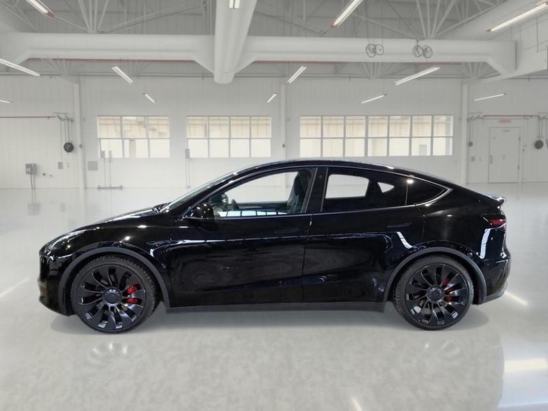 TESLA MODEL Y 75 KWH PERFORMANCE DUAL MOTOR 4WD AUT 5 PORTE SUV
