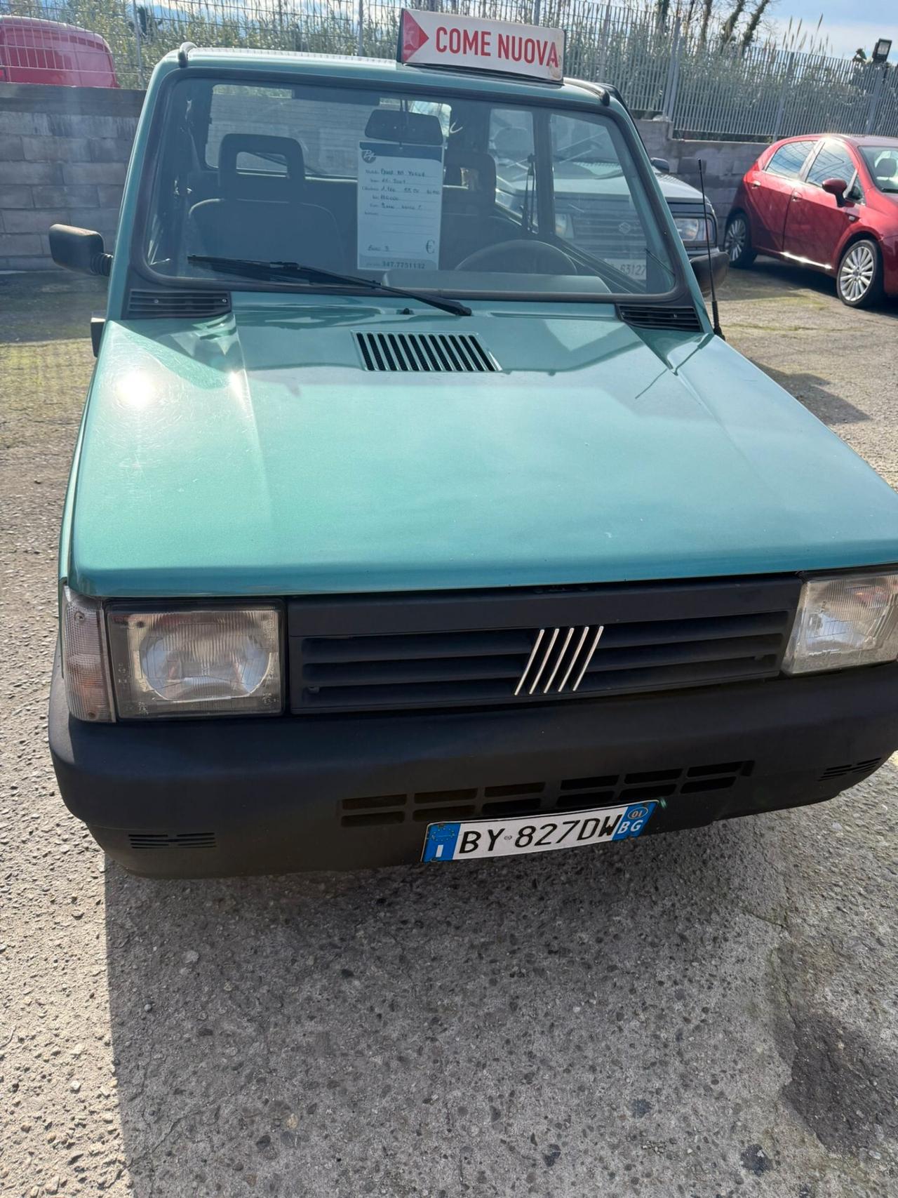 Fiat Panda 1100 i.e. cat Young