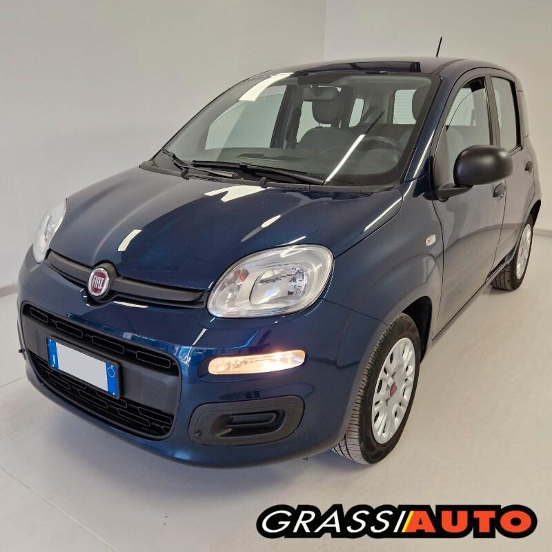 FIAT Panda 3ª serie Panda 1.0 FireFly S&S Hybrid