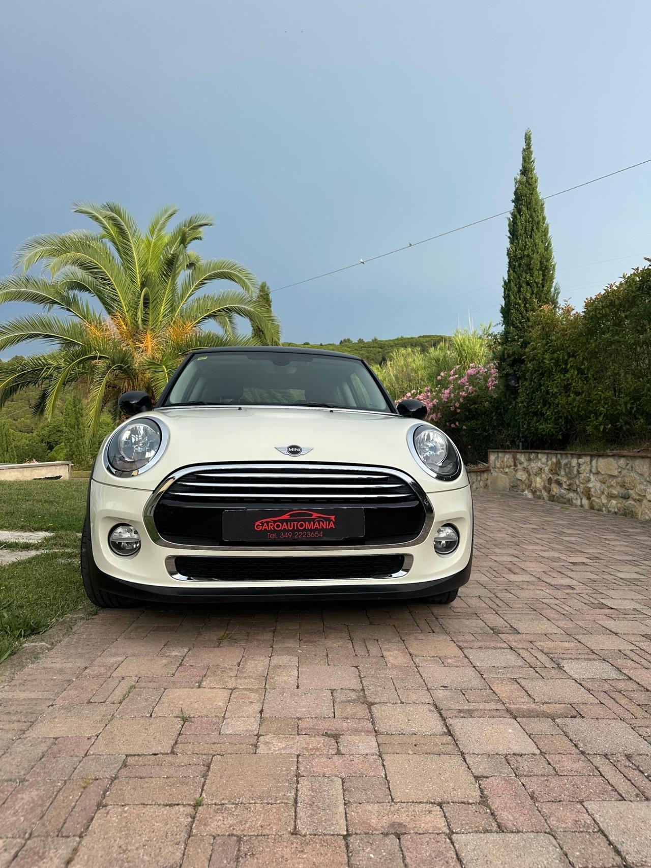 Mini 1.5 One D