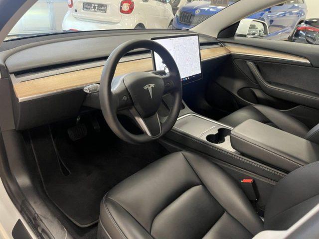 TESLA Model 3 Standard RWD Plus