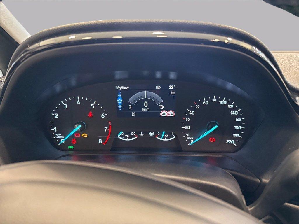 FORD Fiesta 5p 1.0 ecoboost h titanium 125cv del 2023