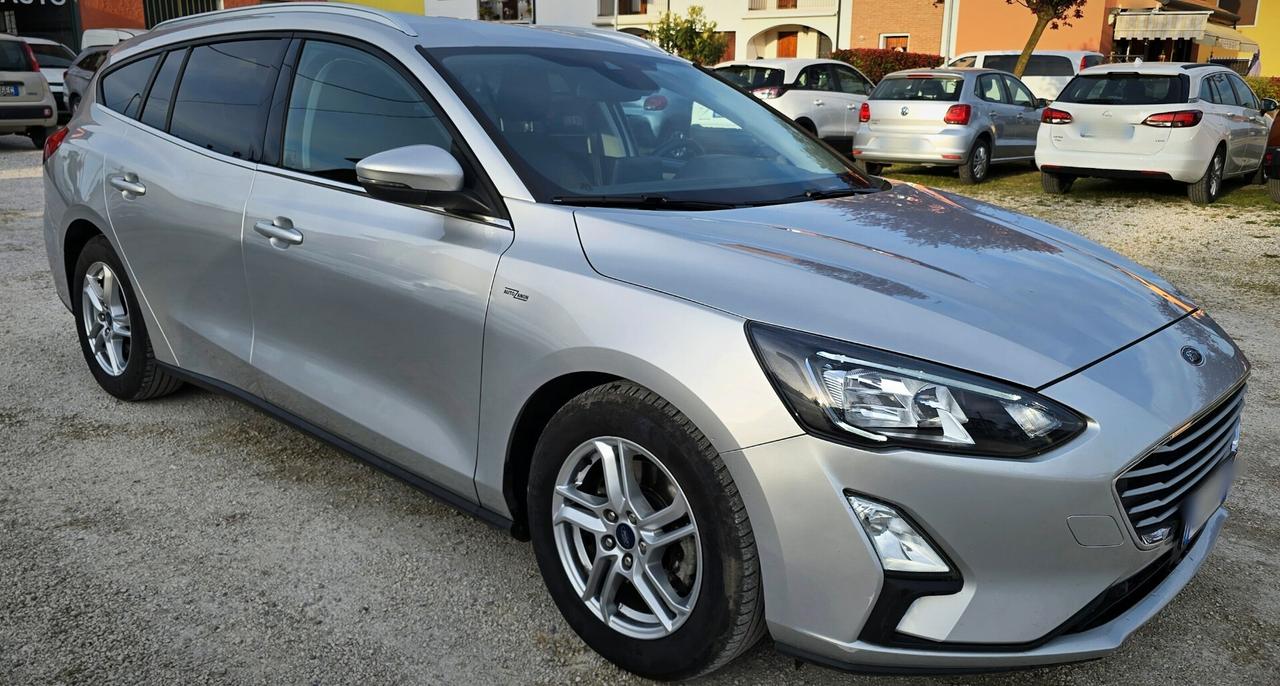 Ford Focus 1.5 EcoBlue 120 CV Business - 2020