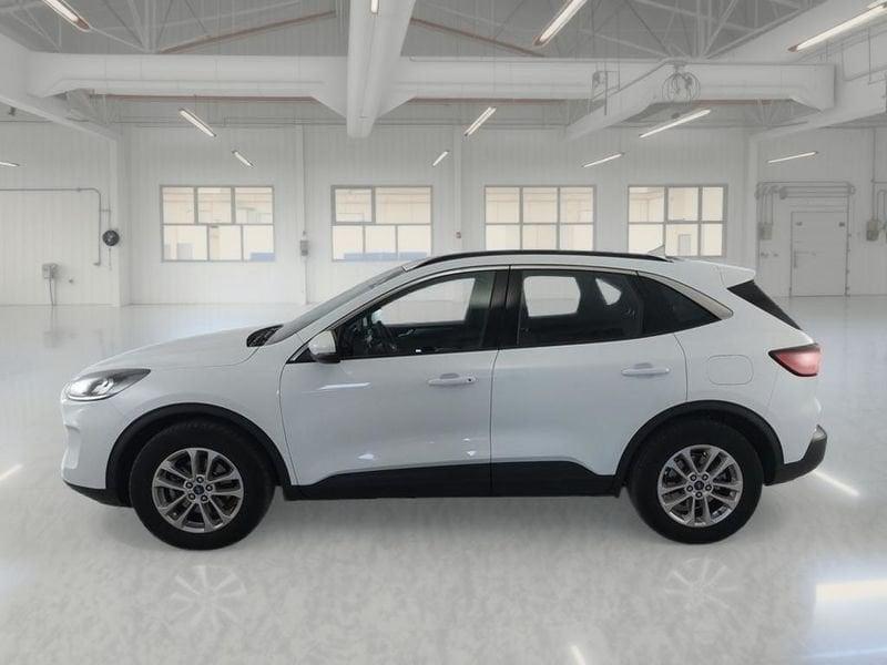 Ford Kuga Kuga 1.5 EcoBlue 120 CV aut. 2WD Titanium Business