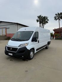 Fiat Ducato maxxi 2019