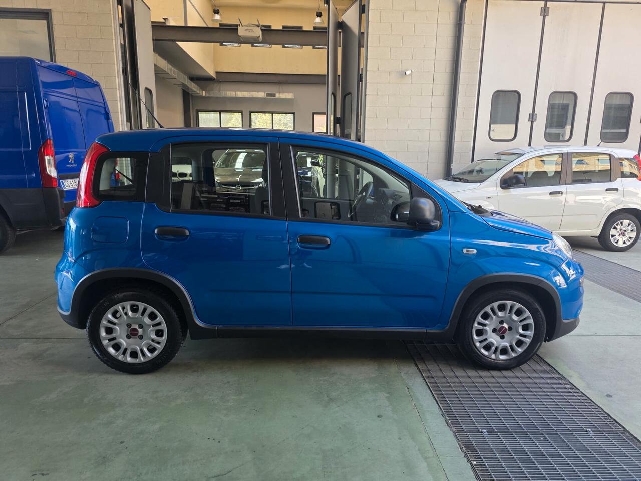 Fiat Panda 1.0 FireFly S&S Hybrid