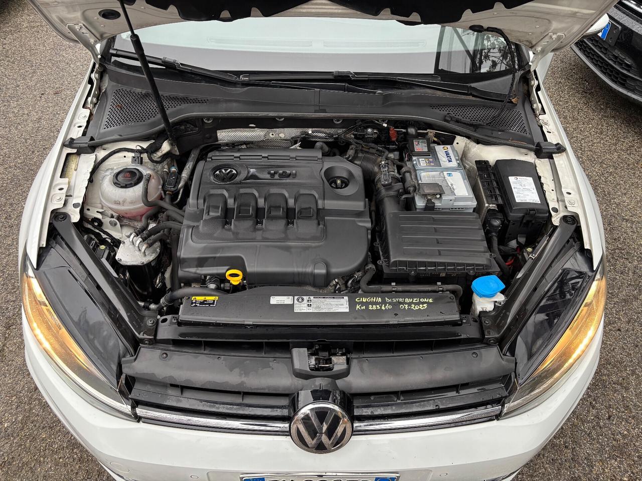 Volkswagen Golf 1.6 TDI 115 CV DSG 5p. Highline BlueMotion Technology