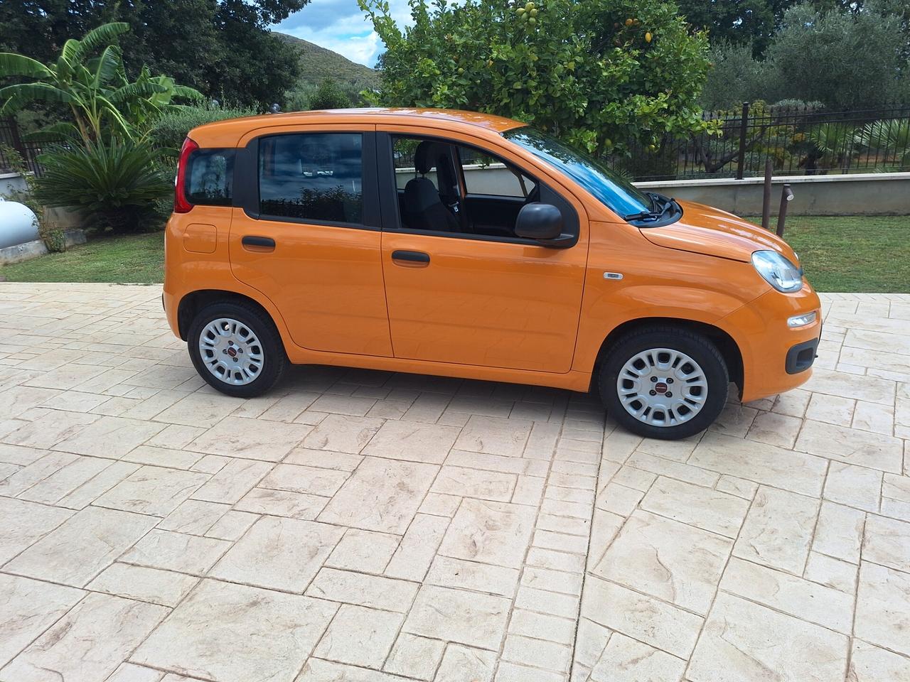 Fiat Panda 1.2 Easy