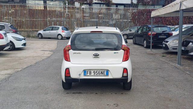 KIA Picanto 1.0 12V EcoGPL 5 porte City Limited