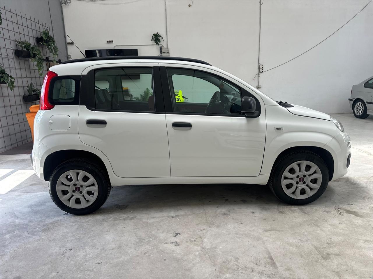 Fiat Panda Natural Power Lounge