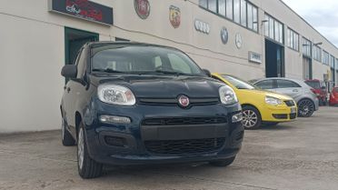 Fiat Panda 1.2 Easy UNICO PROPRIETARIO