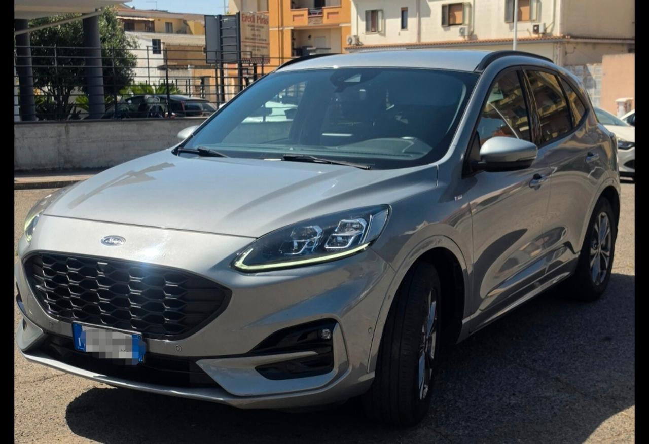 Ford Kuga 1.5 EcoBlue 120 CV 2WD ST-Line