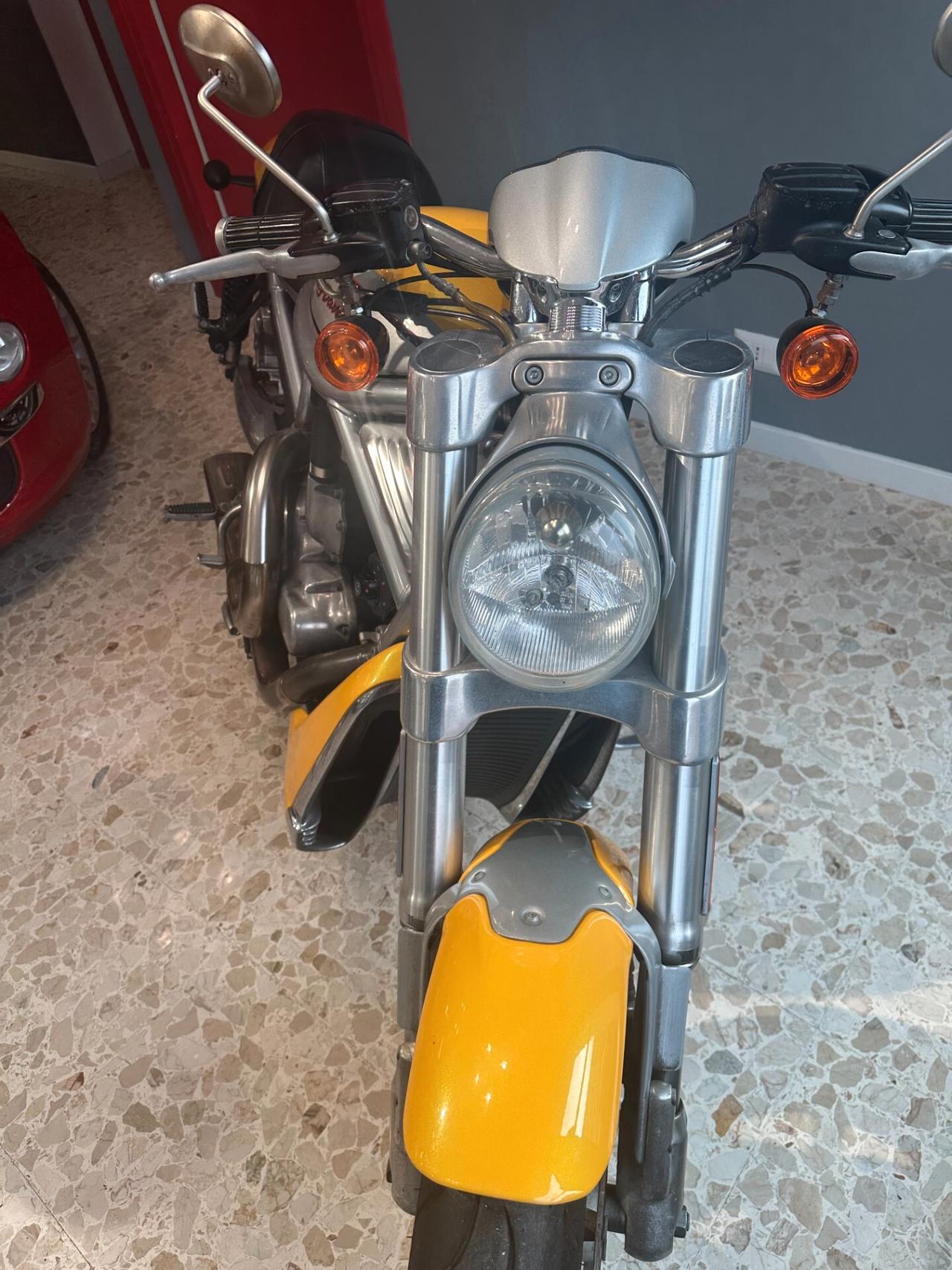 HARLEY-DAVIDSON V-ROD