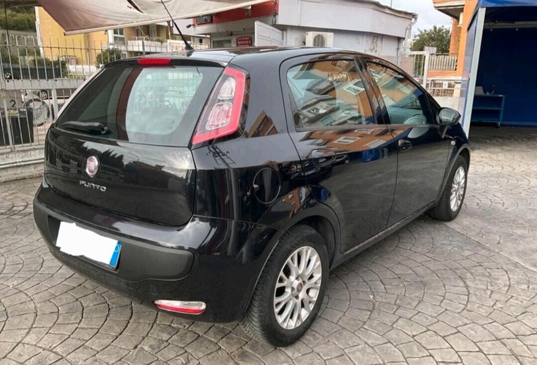 Fiat Punto Evo 1.2 dynamic gpl ok neo patentati