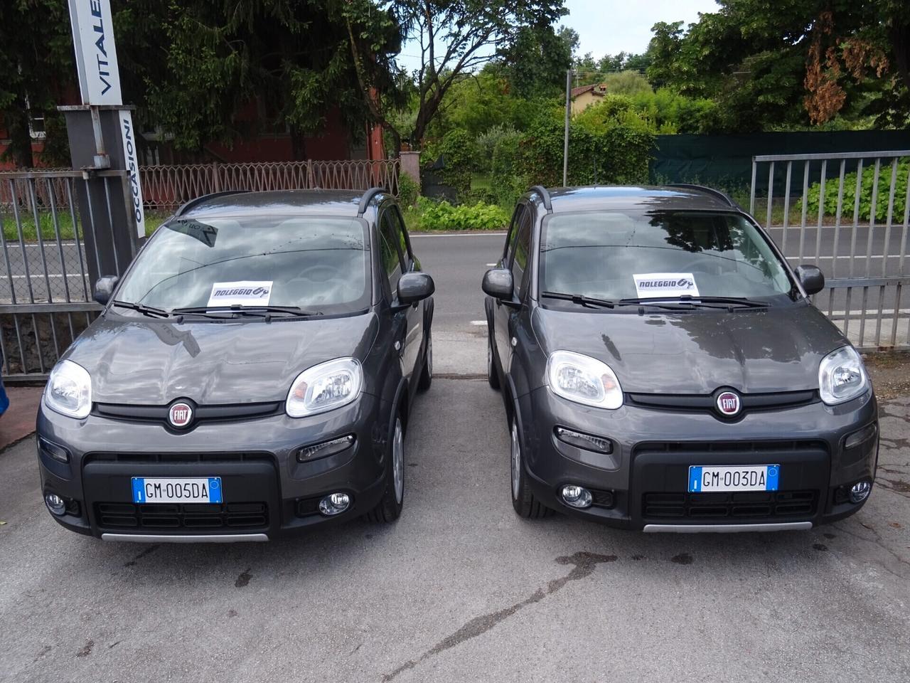 Fiat Panda CityCross 1.0 S&S Hybrid NOLEGGIAMI