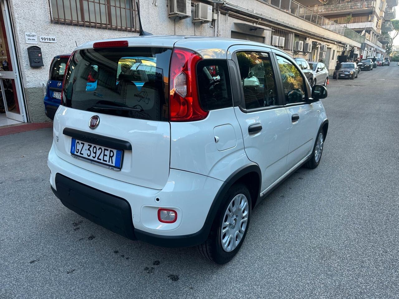 Fiat Panda 1.0 Icon Hybrid Pandina 03/25 KM.17931